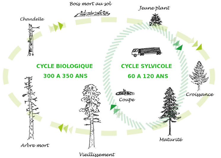Source : France Nature Environnement Auvergne-Rhône-Alpes