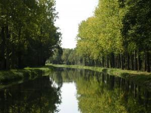 Halez et venez le long du canal_Canal de Berry